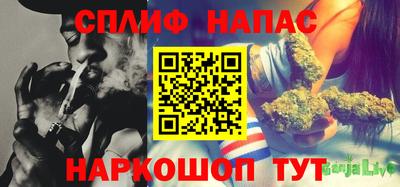 стаф Бузулук