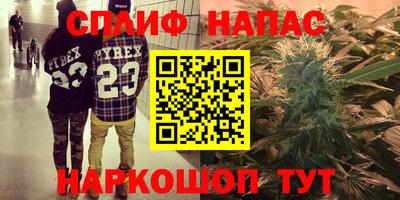 стаф Бузулук