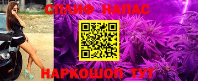 стаф Бузулук
