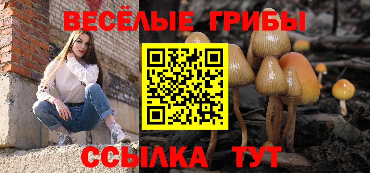 Псилоцибиновые грибы мицелий  Галлюциногенные грибы ЛСД  Лениногорск  Вход с VPN 