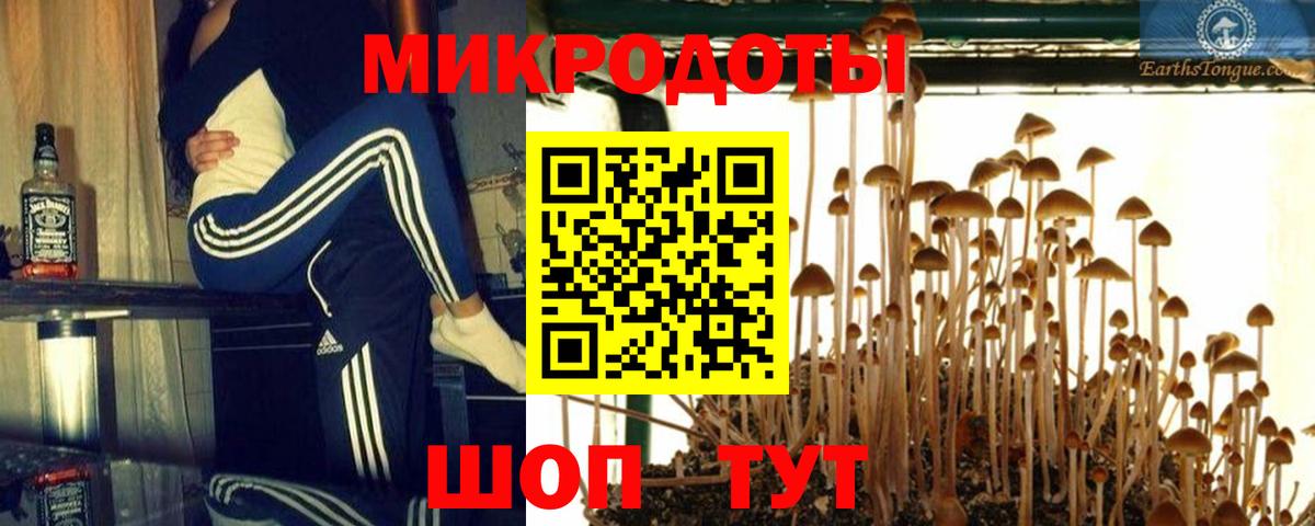 Псилоцибиновые грибы ЛСД Лениногорск